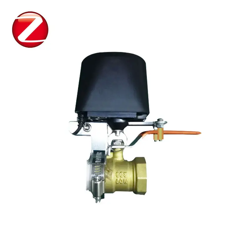 Zigbee Smart Water Valve